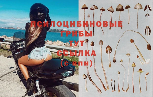 трава Арсеньев