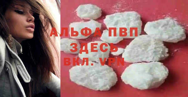 прущие грибы Михайлов