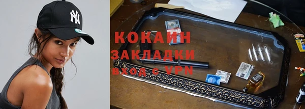 прущие грибы Балахна