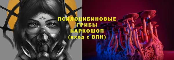 трава Арсеньев