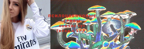 ешки Иннополис