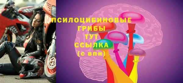MESCALINE Инсар