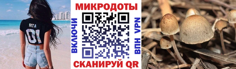 наркотики  Сосновка  Галлюциногенные грибы ЛСД 