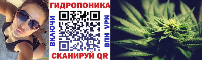 Шишки марихуана планчик  Сосновка 